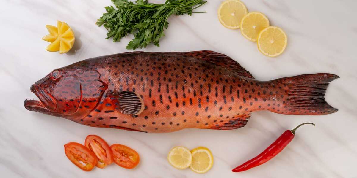 الناجل